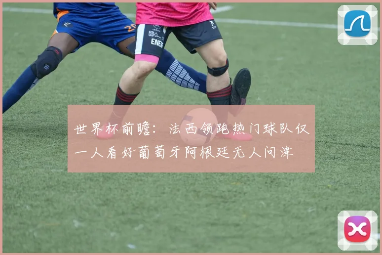 世界杯前瞻：法西领跑热门球队仅一人看好葡萄牙阿根廷无人问津